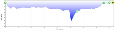 My dive profile from today's first dive.